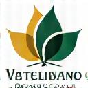 Logotipo del Instituto Valenciano de Medicina Integrativa