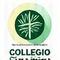 Logotipo del Colegio Oficial de Psicólogos de la Comunitat Valenciana